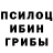 Псилоцибиновые грибы GOLDEN TEACHER Ahsan Naeem