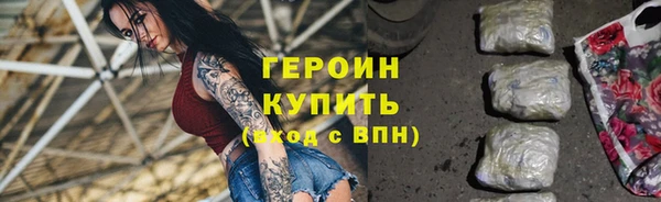 индика Богородицк