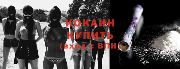 твердый Богородск