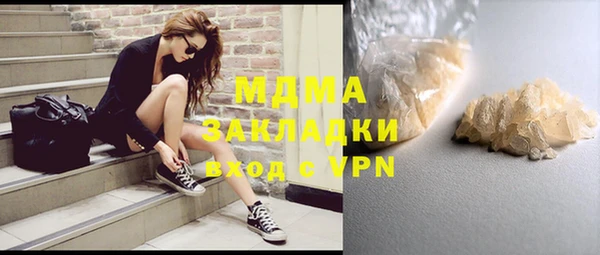 индика Богородицк