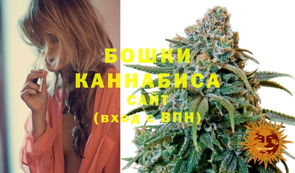 индика Богородицк