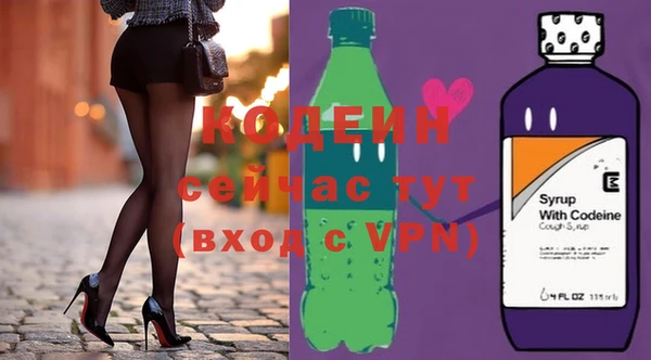 индика Богородицк