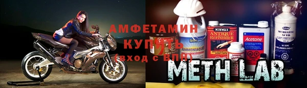ГАЛЛЮЦИНОГЕННЫЕ ГРИБЫ Богданович