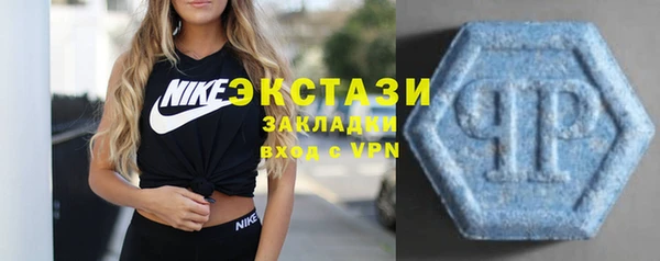 индика Богородицк
