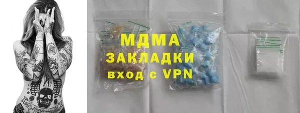ГАЛЛЮЦИНОГЕННЫЕ ГРИБЫ Богданович