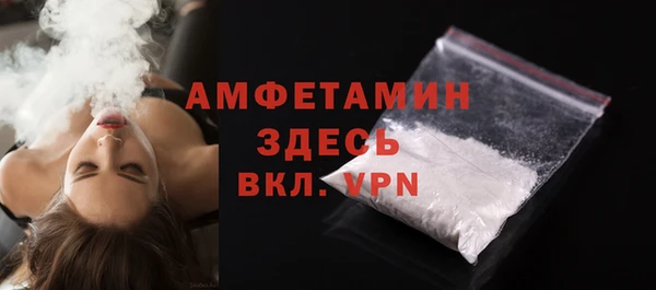 ГАЛЛЮЦИНОГЕННЫЕ ГРИБЫ Богданович