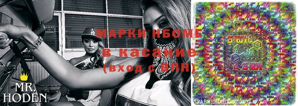индика Богородицк