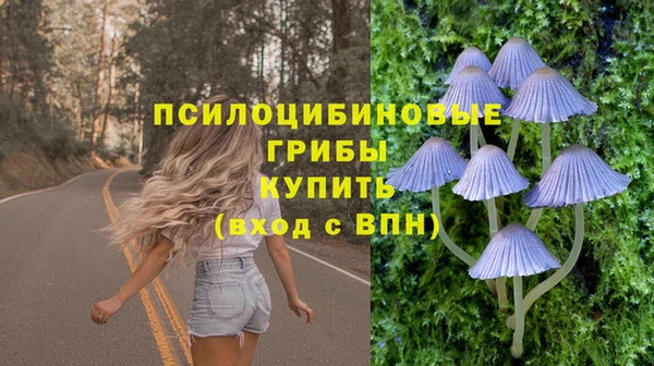индика Богородицк