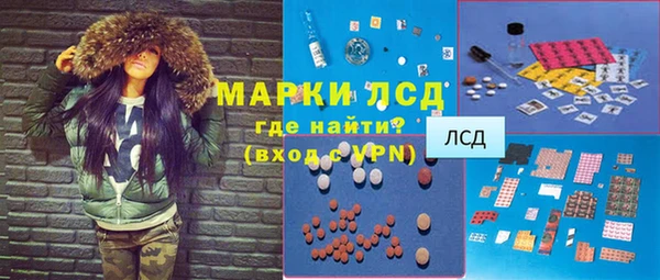 индика Богородицк