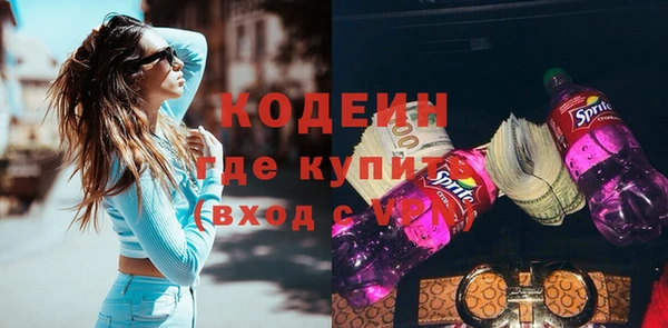 индика Богородицк