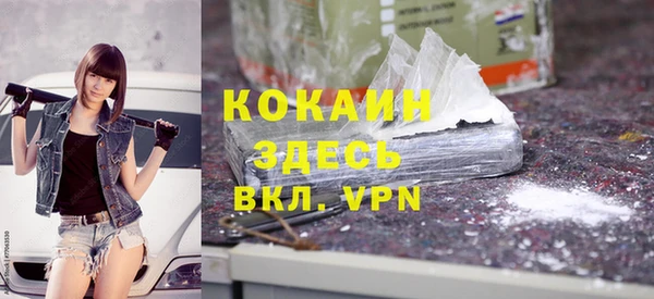 ГАЛЛЮЦИНОГЕННЫЕ ГРИБЫ Богданович