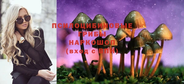 МДМА Осинники